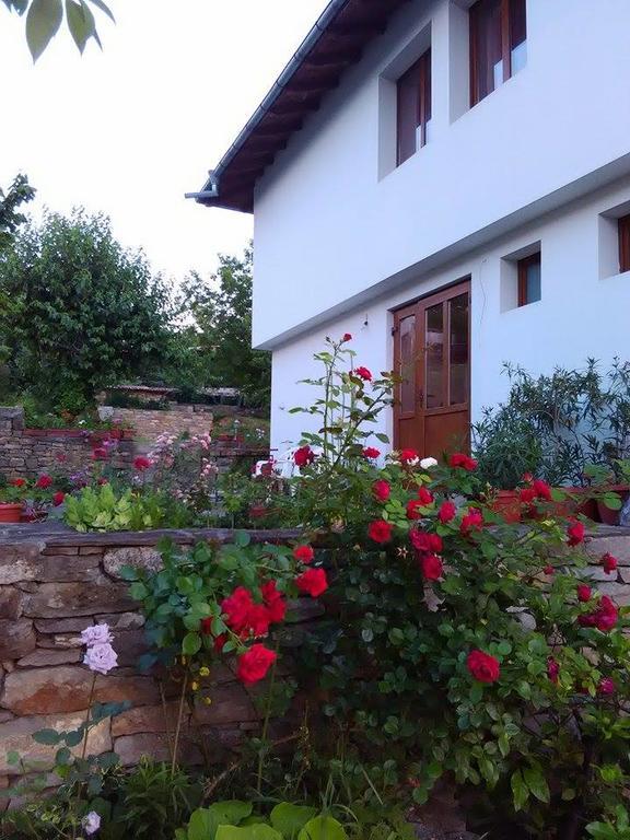 Fenix Rooms Arbanasi Εξωτερικό φωτογραφία
